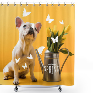 Personality  Cute French Bulldog Sitting Near Watering Can With Yellow Tulips And WELCOME SPRING Lettering On Yellow Shower Curtains