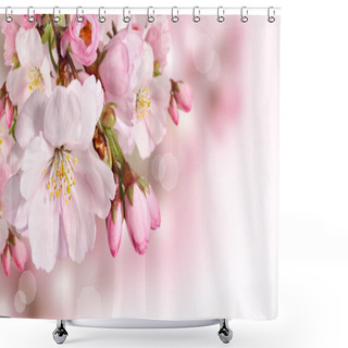 Personality  Spring Flowers Background With Pink Blossom Shower Curtains