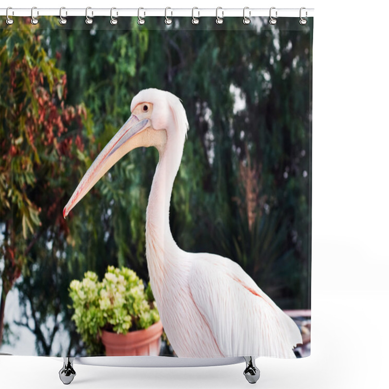 Personality  Pink Pelican Shower Curtains