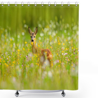 Personality  Roe Deer Chewing Green Leaves Shower Curtains