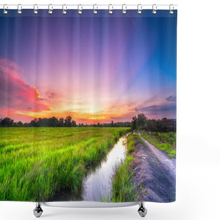 Personality  Sunset Scene Over Rice Fields In Harvest Season In Peaceful Countryside Shower Curtains