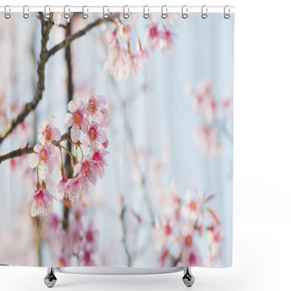 Personality  Sakura Flowers Or Cherry Blossoms Shower Curtains