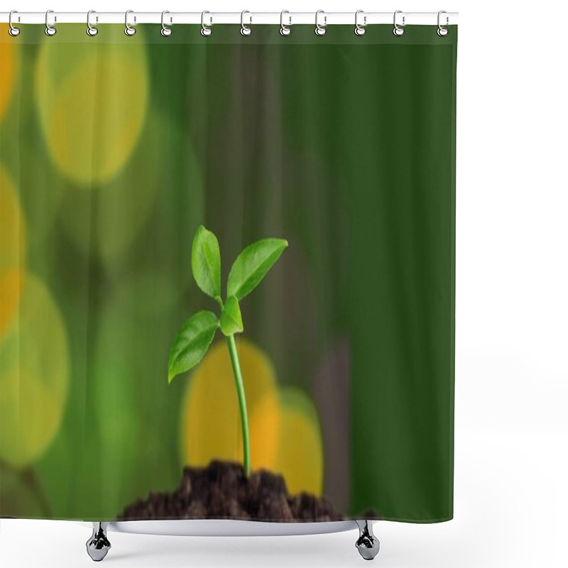 Personality  Green plant in soil, close-up view  shower curtains