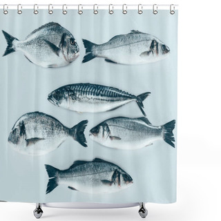 Personality  Top View Of Various Uncooked Sea Fish Isolated On Grey   Shower Curtains