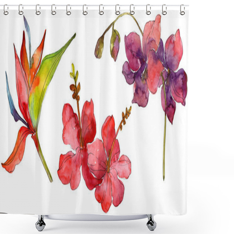 Personality  Flowers isolated on white. Watercolor background illustration set.  shower curtains