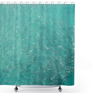 Personality  Hundreds Of Small Fishes In Tropical Ocean, Fish Swarm Or School Of Fishes, Kota Kinabalu, Sabah, Borneo Shower Curtains