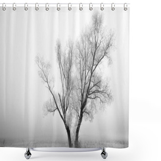 Personality  A Tree Standing On The Ground Covered In The Snow With A Foggy Background During Winter Shower Curtains