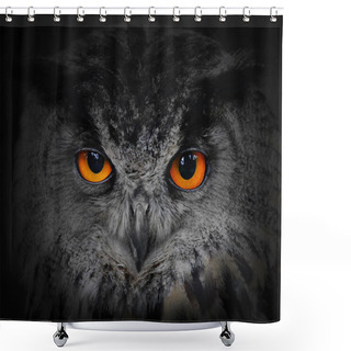 Personality  The Evil Eyes. Shower Curtains