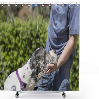 Personality  Bath Time Shower Curtains