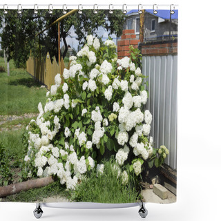 Personality  Flowers Of A Buldenezh. Flowers Of A Buldenezh Shower Curtains