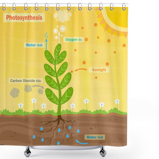 Personality  Photosynthesis Shower Curtains