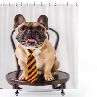 Personality  Bulldog In Striped Necktie Shower Curtains