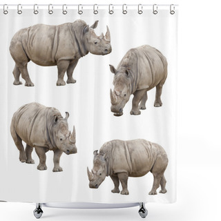Personality  Set Of Rhinoceros Isolated On A White Background Shower Curtains
