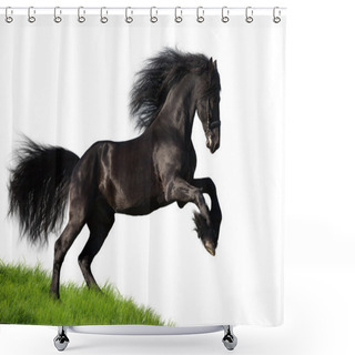 Personality  Friesian Horse Shower Curtains
