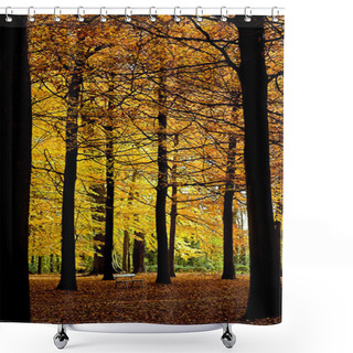 Personality  Among Giants Shower Curtains