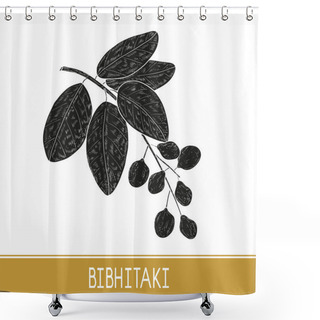 Personality  Bibhitaki. Terminalia Bellirica. Plant. Leaf, Branch, Fruit, Berry. Black Silhouette On White Background. Monochrome. Shower Curtains