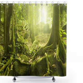 Personality  Green Forest Shower Curtains