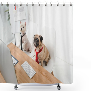 Personality  Business Dogs In Neckties Shower Curtains