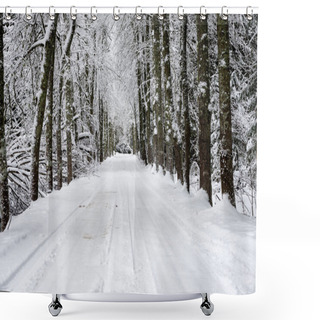 Personality  Snowy Winter Forest In Mist Shower Curtains