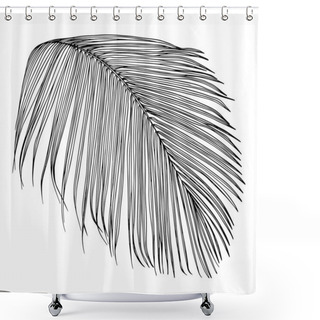 Personality  Big Tropical Palm Leaf. Shower Curtains