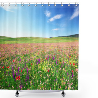 Personality  Spring Flower Meadow Shower Curtains