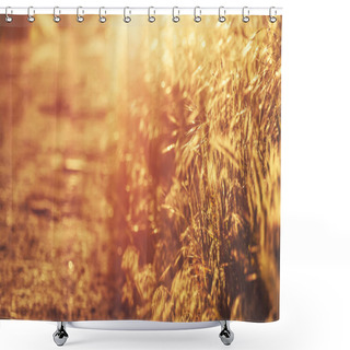 Personality  Summer Background, Landscape At Sunset, Grass In Backlight, Blurred Image With The Effect Of Motion, Shallow Depth Of Field Shower Curtains