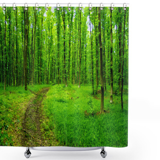 Personality  Green Forest Background In A Sunny Day Shower Curtains