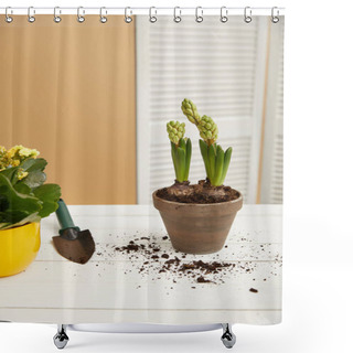 Personality  Yellow Flowers And Hyacinth In Clay Flowerpot With Spade  Shower Curtains