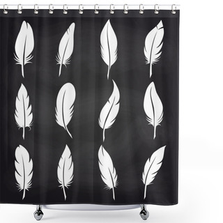 Personality  Vintage Feather Set On Chalkboard Shower Curtains