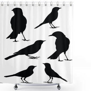 Personality  Birds Silhouette - 6 Different Vector Illustrations Shower Curtains