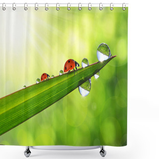 Personality  Dew And Ladybirds Shower Curtains
