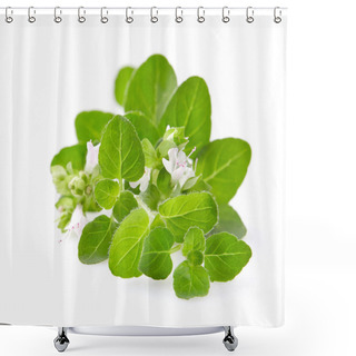 Personality  Oregano Flowers On White Background Shower Curtains