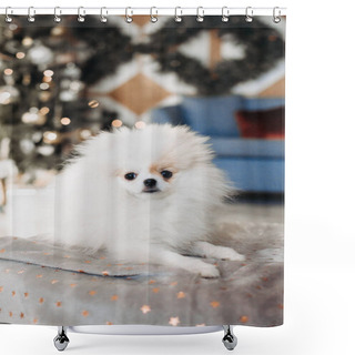Personality  Cute Little Pomeranian Dog Lies On The Sofa On Christmas Three Background. New Year Dog. Christmas Dog. Shower Curtains