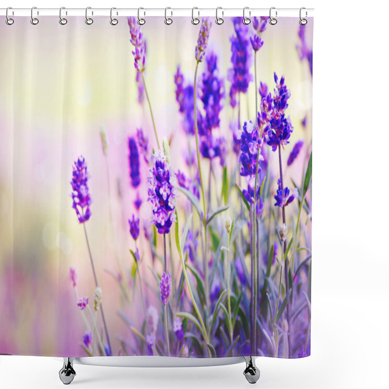 Personality  Lavender Field Shower Curtains
