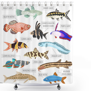 Personality  Freshwater Aquarium Fishes Breeds Icon Set Flat Style Isolated O Shower Curtains