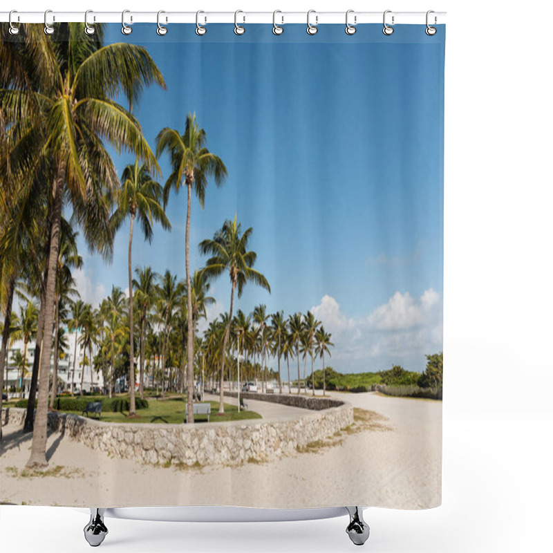 Personality  Green Palm Trees In Modern Park With Benches Against Blue Sky In Miami  Shower Curtains