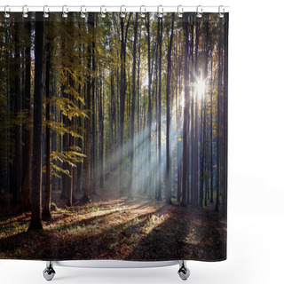 Personality  Autumn Foggy Landscape Of A Beautiful Forest, In Transylvania Shower Curtains
