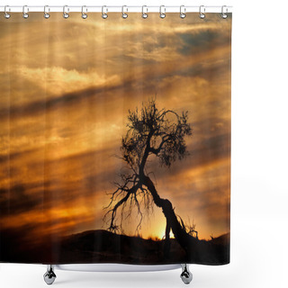 Personality  Desert Sunset Shower Curtains
