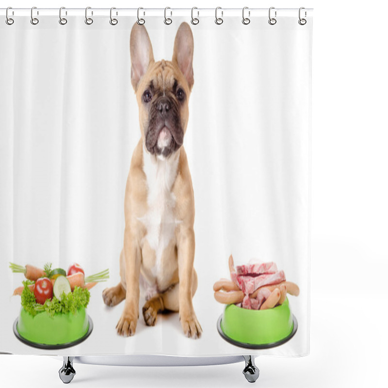 Personality  Vegetables Or Meat For The Dog Shower Curtains