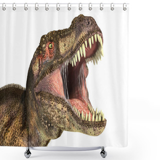 Personality  Tyrannosaurus Rex Dinosaur, Photorealistic Representation. Shower Curtains