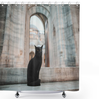 Personality  Cat Shower Curtains