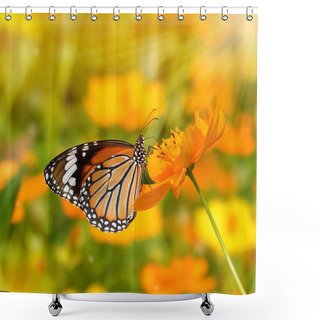 Personality  Butterflies And Flowers Shower Curtains