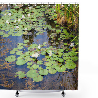 Personality  Water Lilies Shower Curtains