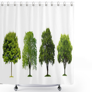 Personality  Fresh Tree Collection Isolated On White Background Shower Curtains