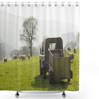Personality  Healthy Sheep And Livestock, Idyllic Rural, UK Shower Curtains