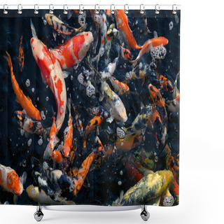 Personality  Colorful Koi Fish Swimming In Pond Shower Curtains