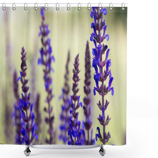 Personality  Meadow Sage In The Springtime Shower Curtains