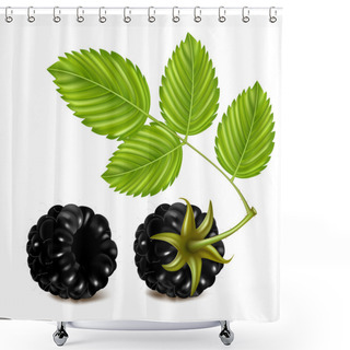 Personality  Ripe Blackberries Shower Curtains