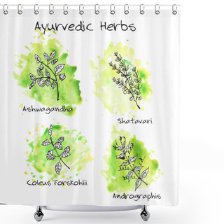 Personality  Handdrawn Set - Ayurvedic Herbs Shower Curtains
