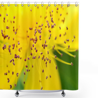 Personality  Pollen Shower Curtains